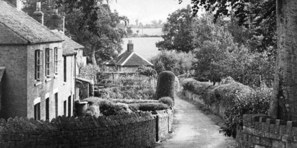 The Hill
